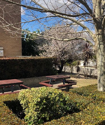 Pronto Picnic Tables in Leafy Grounds M 370x440 IMG_2066